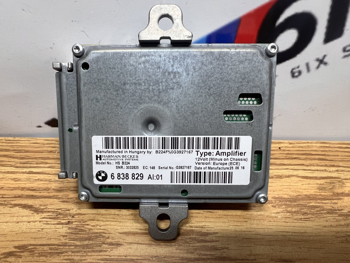 14-20 BMW F30 F32 F36 Active Sound Control Module Amplifier OEM 6 838 829